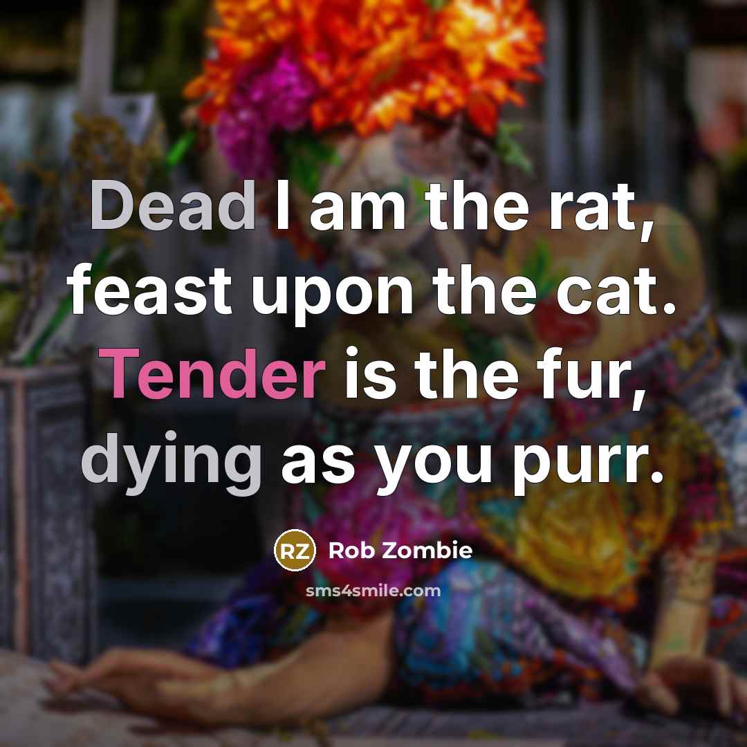 “Dead I am the rat, feast upon the cat. Tender is the fur, dying as you purr.” quote by Rob Zombie