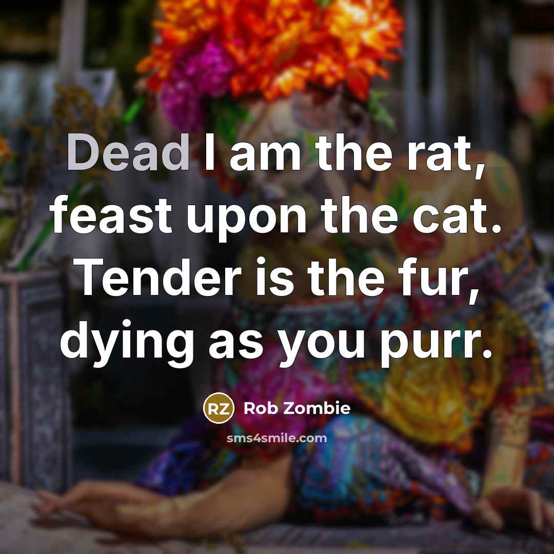 “Dead I am the rat, feast upon the cat. Tender…” quote by Rob Zombie