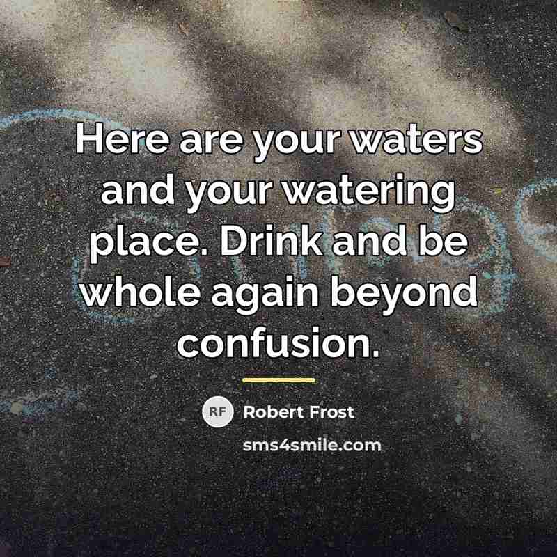“Here are your waters and your watering place. Drink and…” quote by Robert Frost