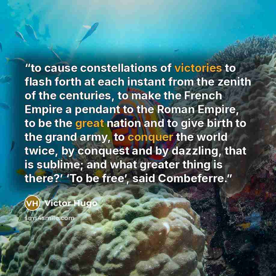 “to cause constellations of victories to flash forth at each instant from the zenith of the centuries, to make the French Empire a pendant to the Roman Empire, to be the great nation and to give birth to the grand army, to conquer the world twice, by conquest and by dazzling, that is sublime; and…” quote by Victor Hugo