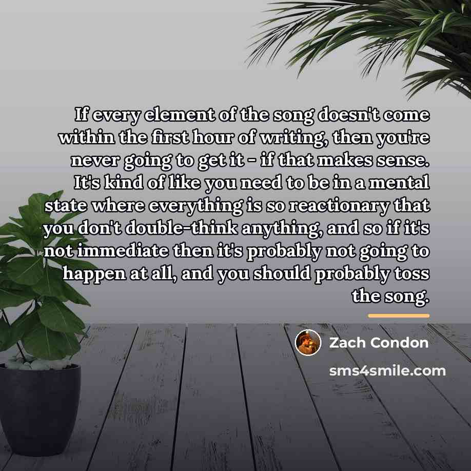 “If every element of the song doesn't come within the…” quote by Zach Condon