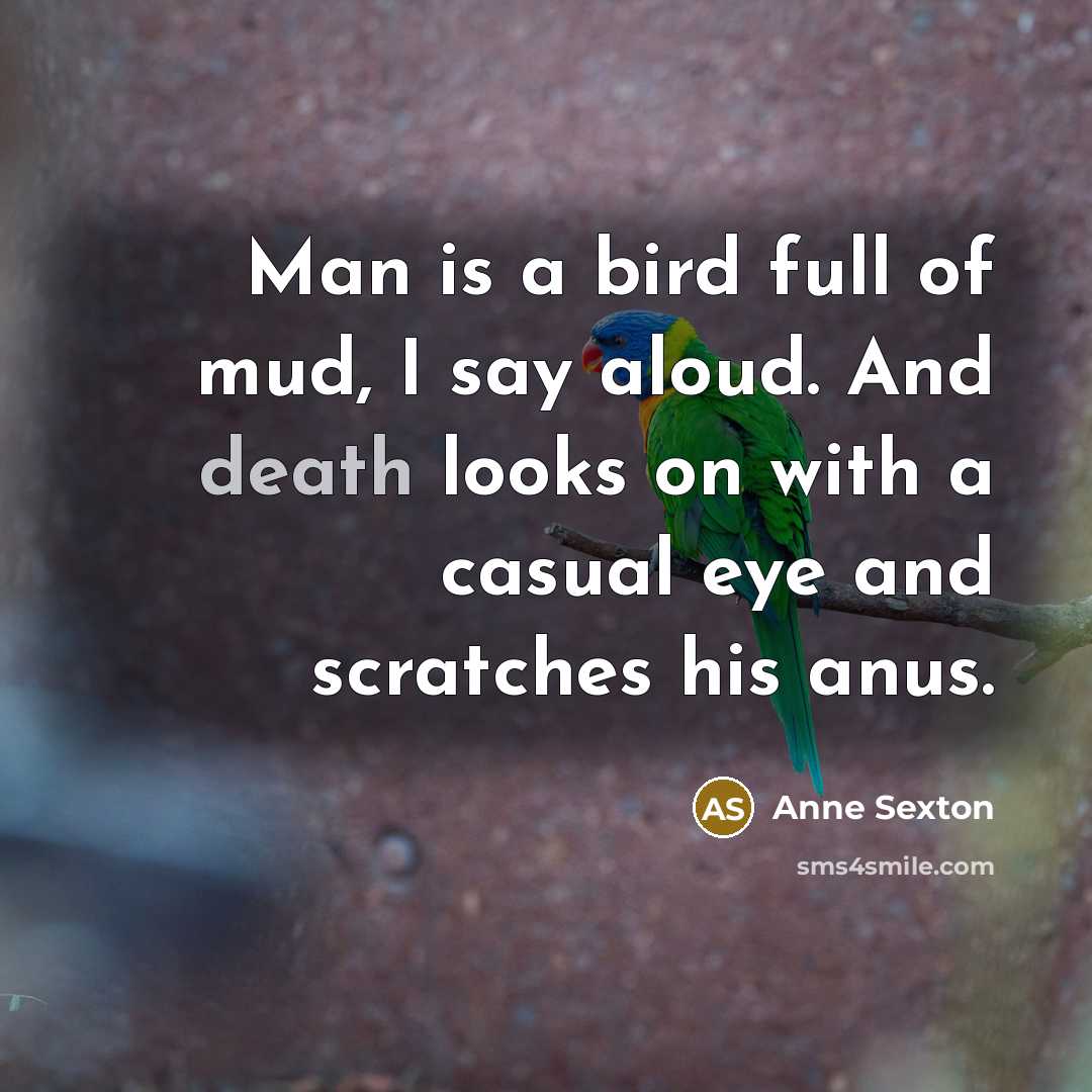 “Man is a bird full of mud, I say aloud.…” quote by Anne Sexton