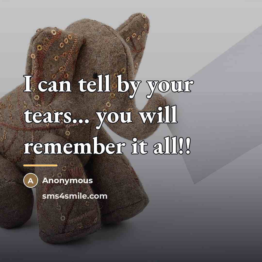 “I can tell by your tears... you will remember it…” quote by Anonymous