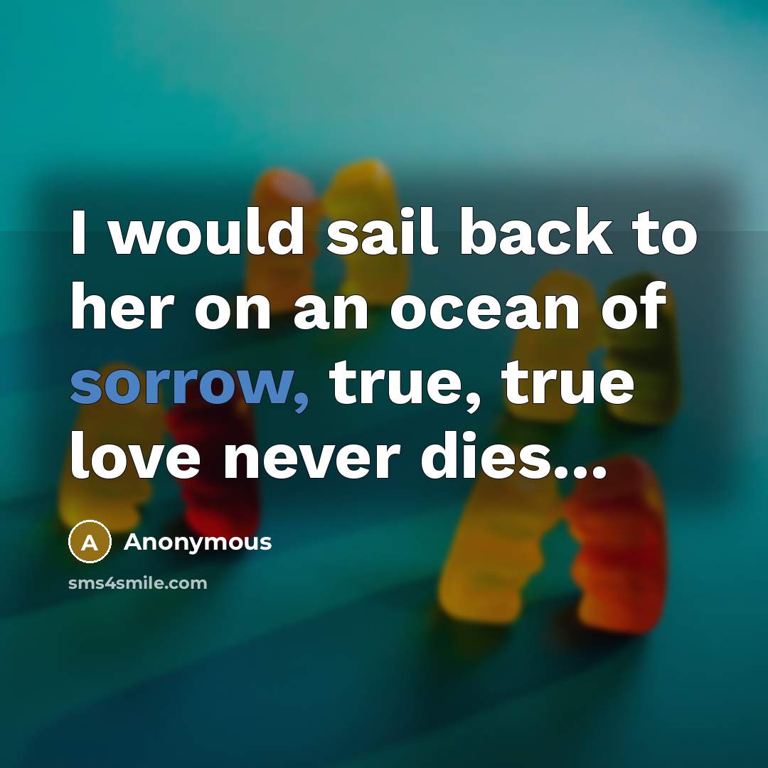 “I would sail back to her on an ocean of…” quote by Anonymous