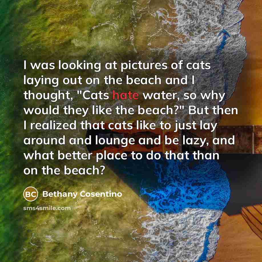“I was looking at pictures of cats laying out on…” quote by Bethany Cosentino