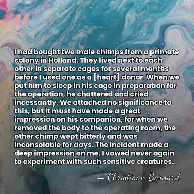 I had bought two male chimps from a primate colony in Holland.&hellip; - Christiaan Barnard