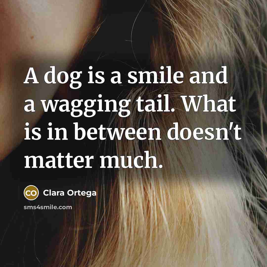 “A dog is a smile and a wagging tail. What…” quote by Clara Ortega