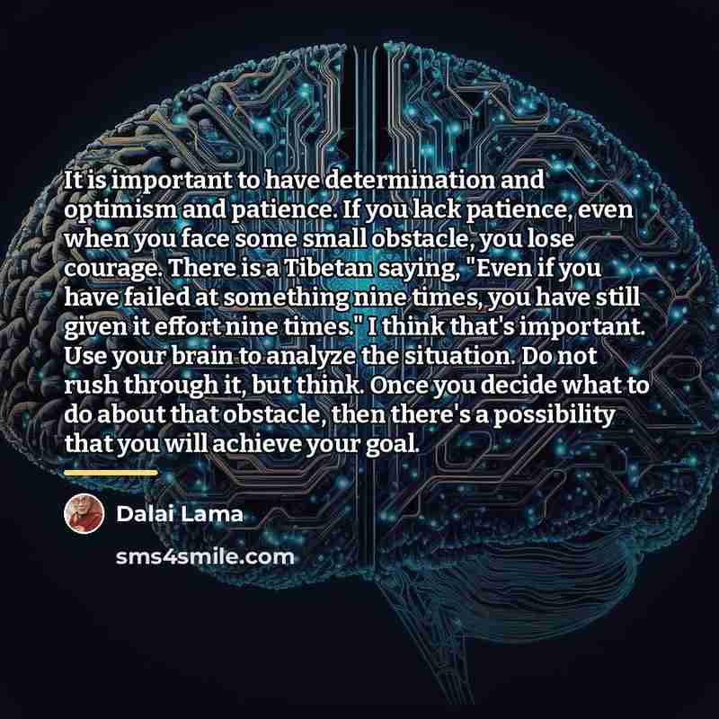 “It is important to have determination and optimism and patience.…” quote by Dalai Lama