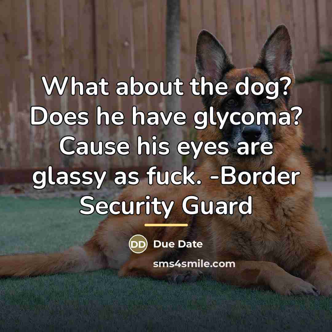 “What about the dog? Does he have glycoma? Cause his…” quote by Due Date
