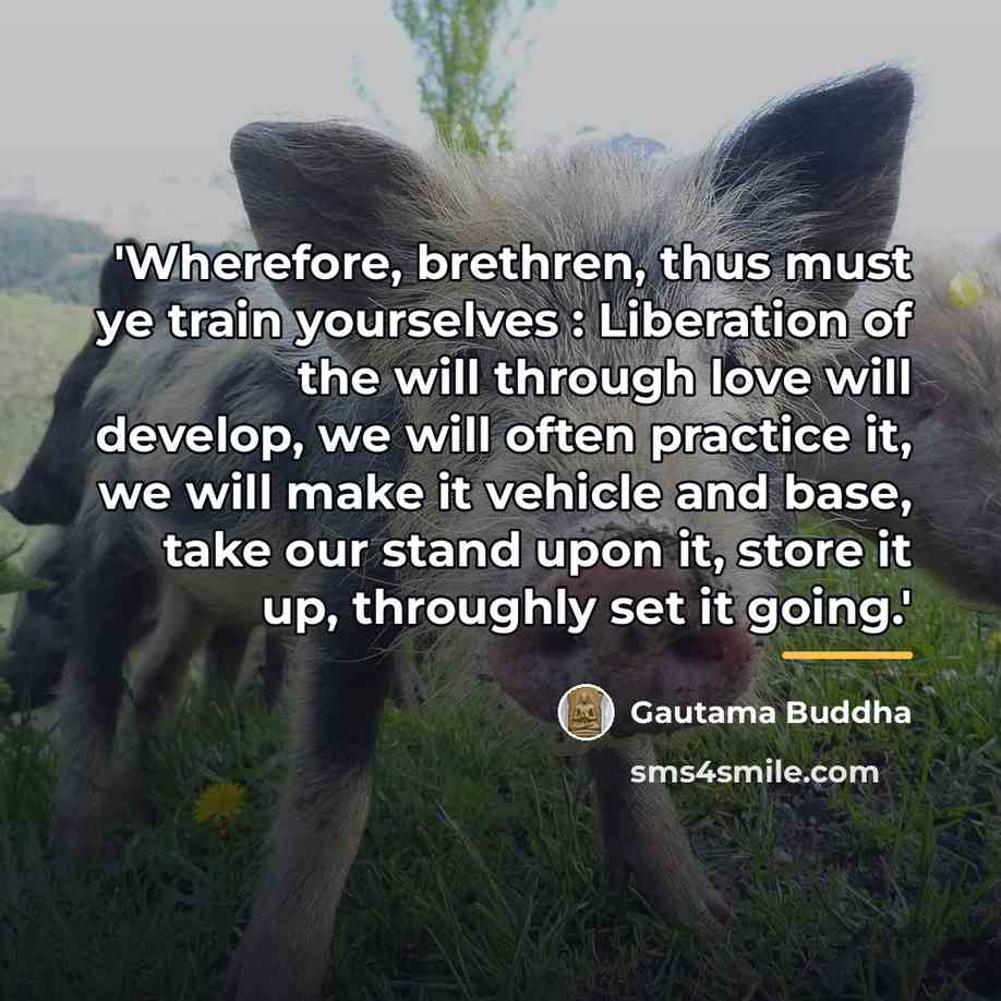 “'Wherefore, brethren, thus must ye train yourselves : Liberation of…” quote by Gautama Buddha