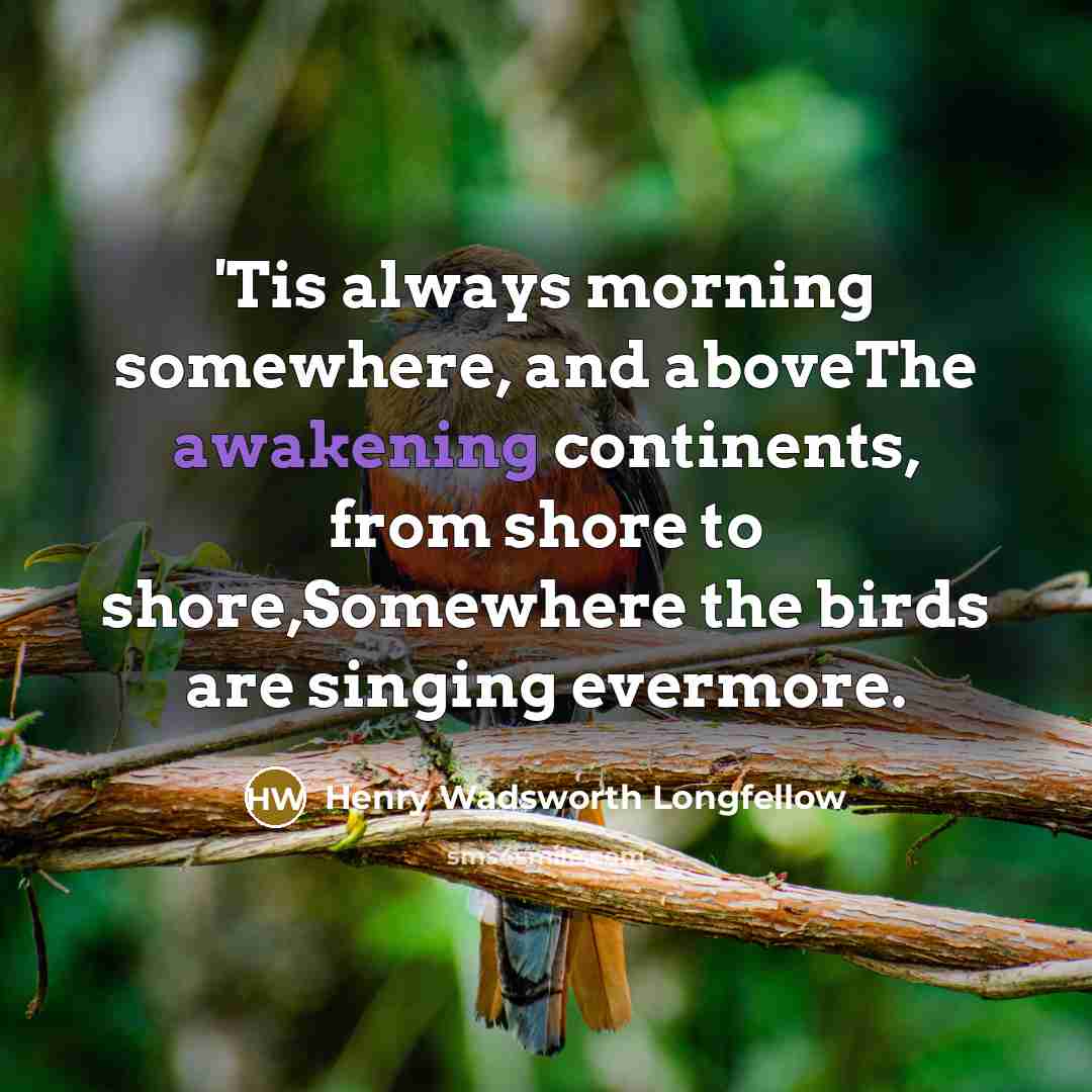 “'Tis always morning somewhere, and aboveThe awakening continents, from shore…” quote by Henry Wadsworth Longfellow