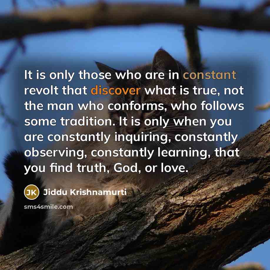 “It is only those who are in constant revolt that…” quote by Jiddu Krishnamurti