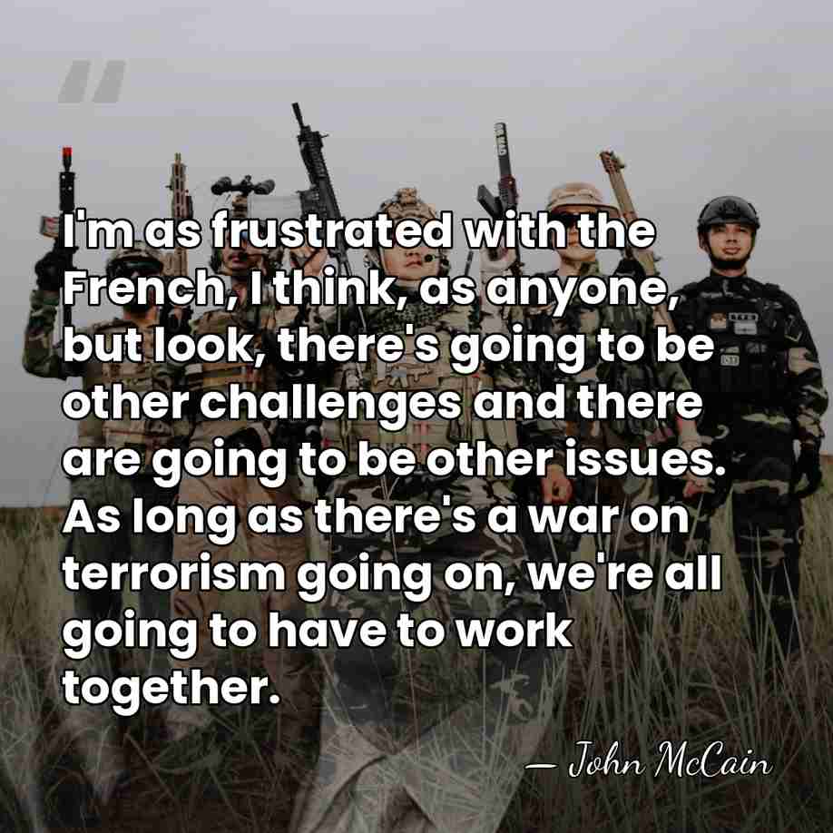 I'm as frustrated with the French, I think, as anyone, but look,&hellip; - John McCain