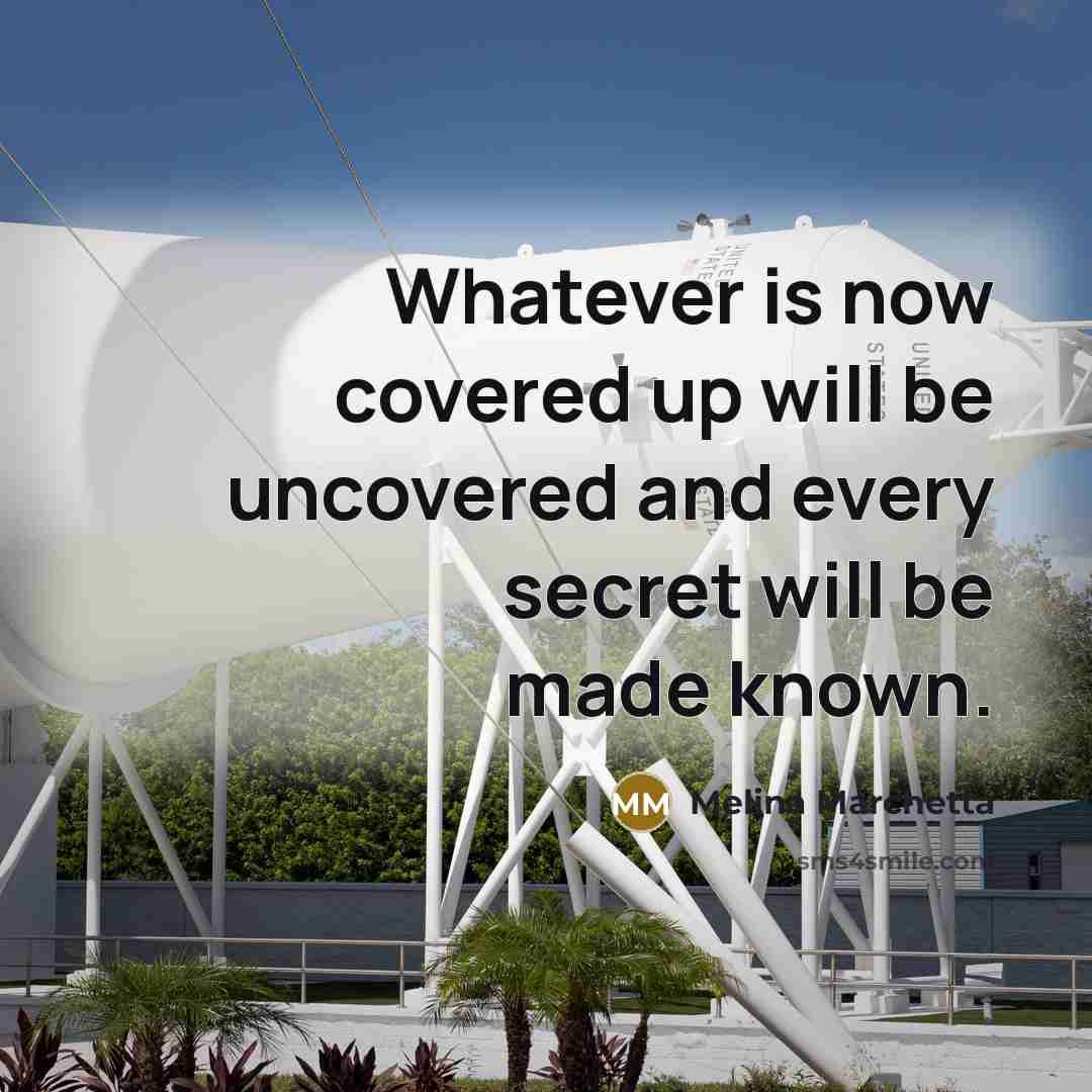 “Whatever is now covered up will be uncovered and every…” quote by Melina Marchetta