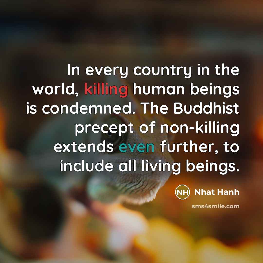 “In every country in the world, killing human beings is…” quote by Nhat Hanh