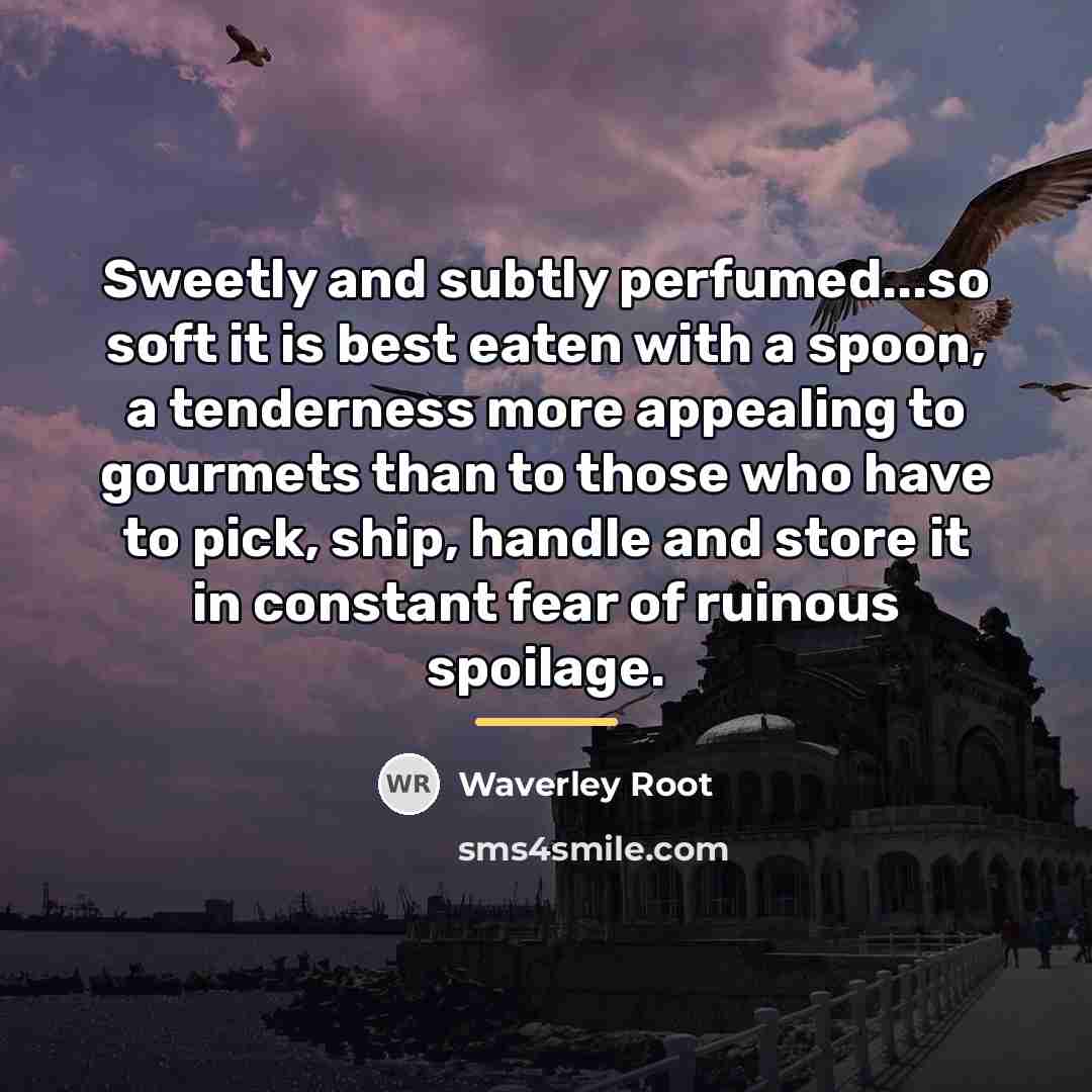 “Sweetly and subtly perfumed...so soft it is best eaten with…” quote by Waverley Root