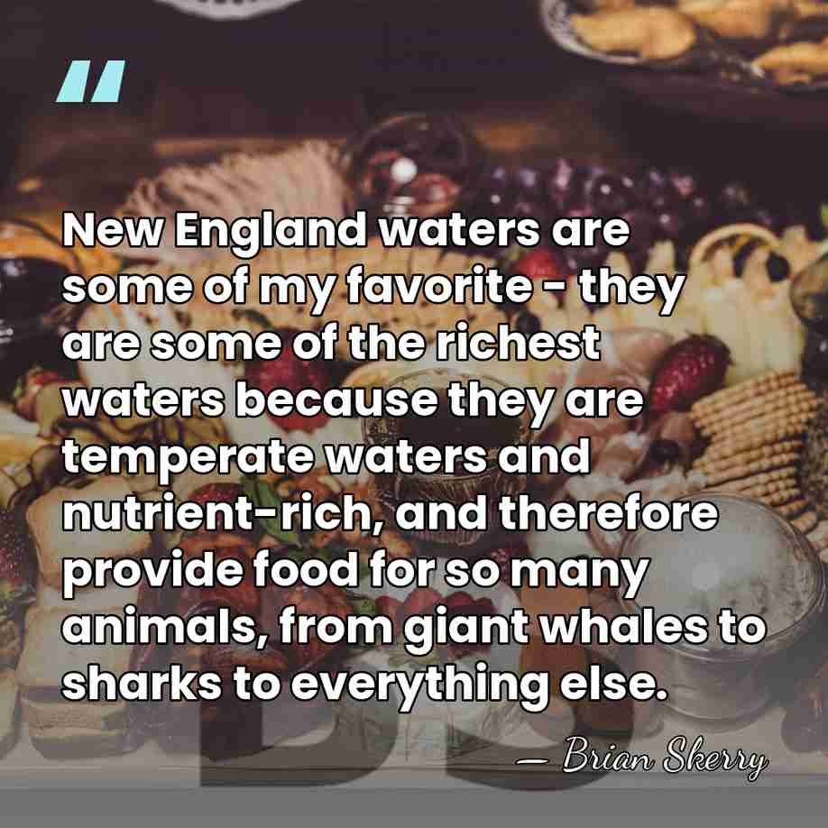 New England waters are some of my favorite - they are some&hellip; - Brian Skerry