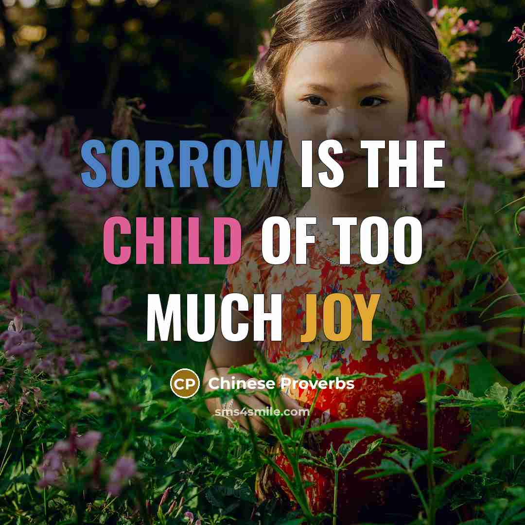 “Sorrow is the child of too much joy” quote by Chinese Proverbs