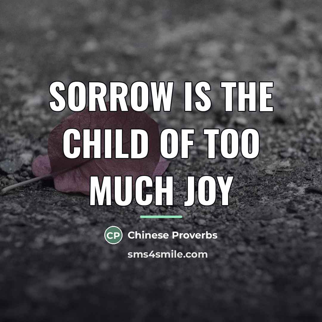 “Sorrow is the child of too much joy…” quote by Chinese Proverbs