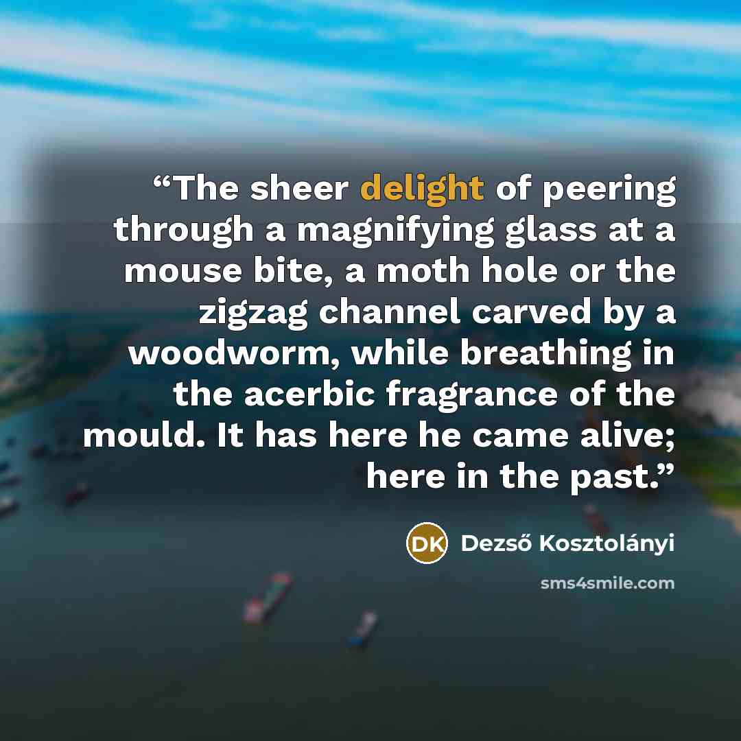 “The sheer delight of peering through a magnifying glass at a mouse bite, a moth hole or the zigzag channel carved by a woodworm, while breathing in the acerbic fragrance of the mould. It has here he came alive; here in the past.” quote by Dezső Kosztolányi
