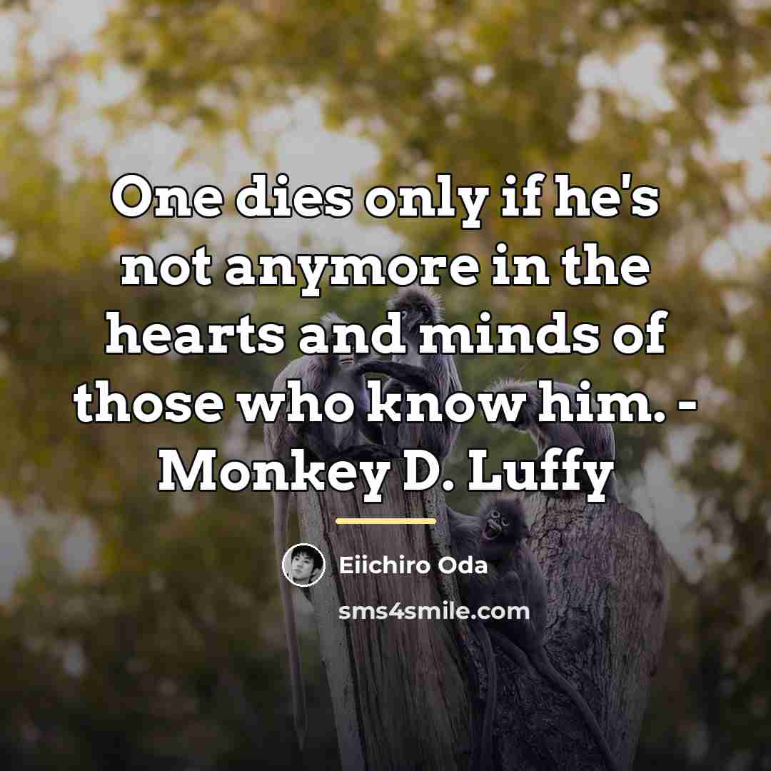 “One dies only if he's not anymore in the hearts…” quote by Eiichiro Oda
