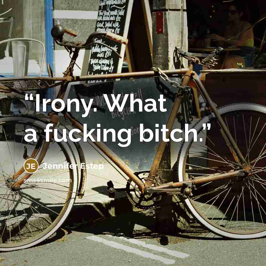“Irony. What a fucking bitch.” quote by Jennifer Estep