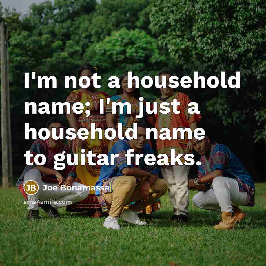“I'm not a household name; I'm just a household name…” quote by Joe Bonamassa