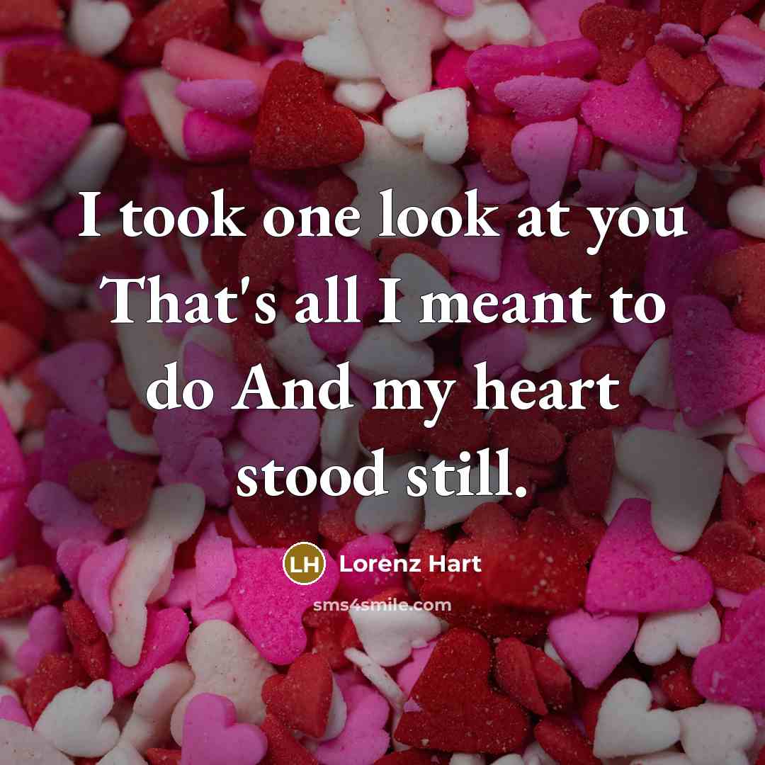 “I took one look at you That's all I meant…” quote by Lorenz Hart