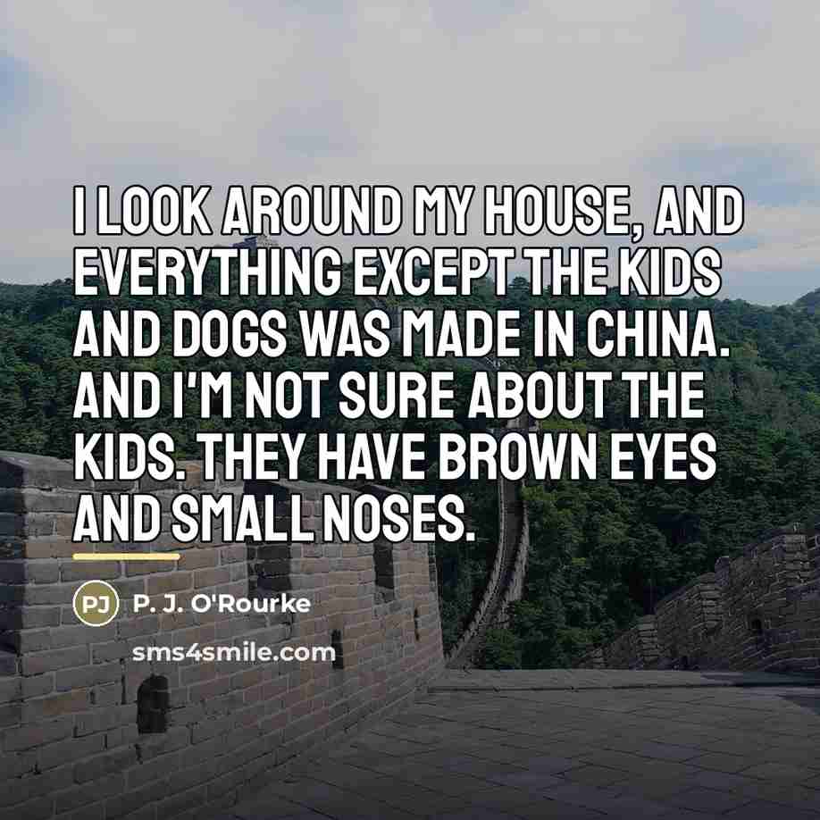 “I look around my house, and everything except the kids…” quote by P. J. O'Rourke