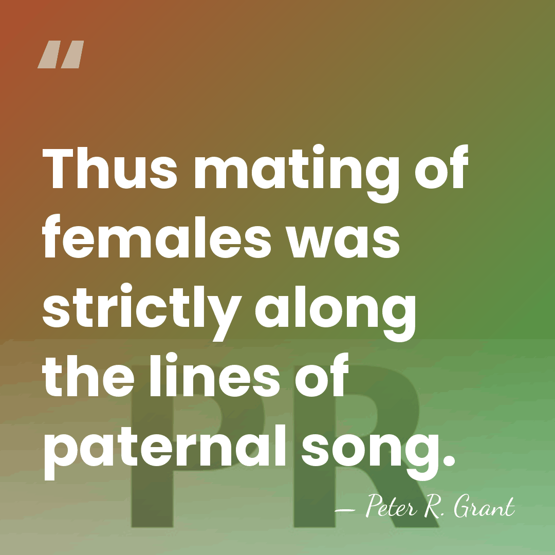 Thus mating of females was strictly along the lines of paternal song. - Peter R. Grant