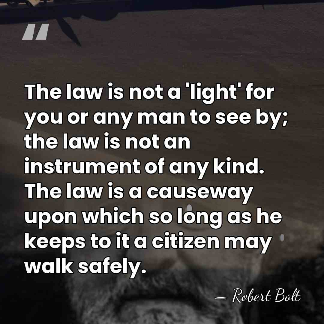 The law is not a 'light' for you or any man to&hellip; - Robert Bolt