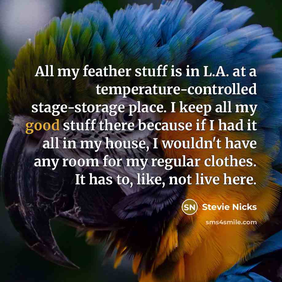 “All my feather stuff is in L.A. at a temperature-controlled…” quote by Stevie Nicks