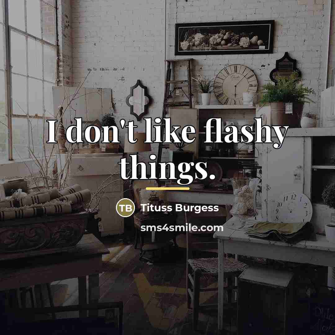 “I don't like flashy things.…” quote by Tituss Burgess