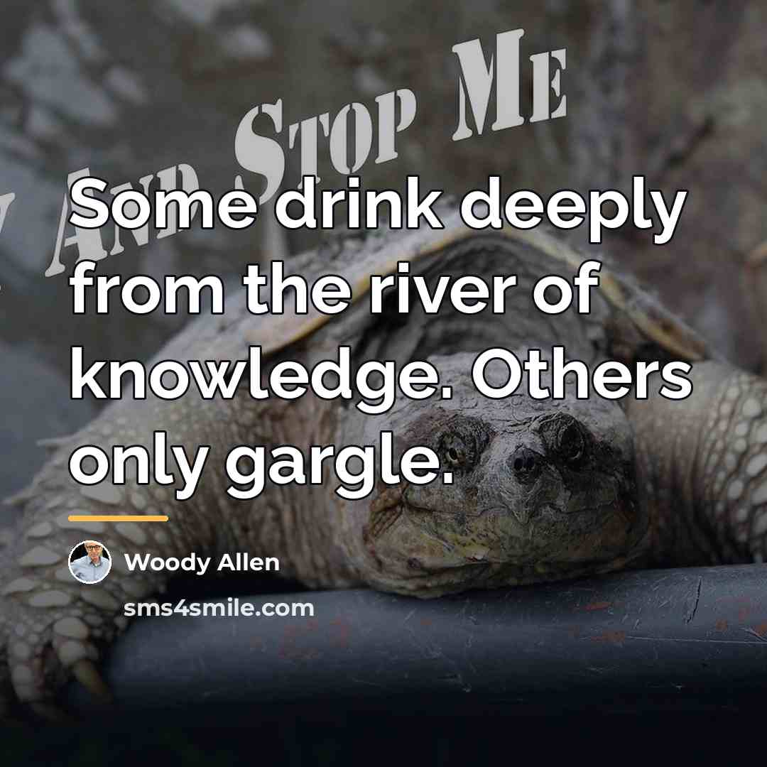“Some drink deeply from the river of knowledge. Others only…” quote by Woody Allen