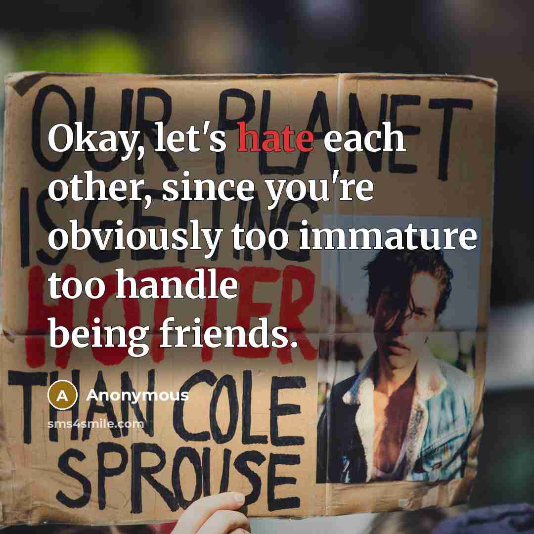 “Okay, let's hate each other, since you're obviously too immature…” quote by Anonymous