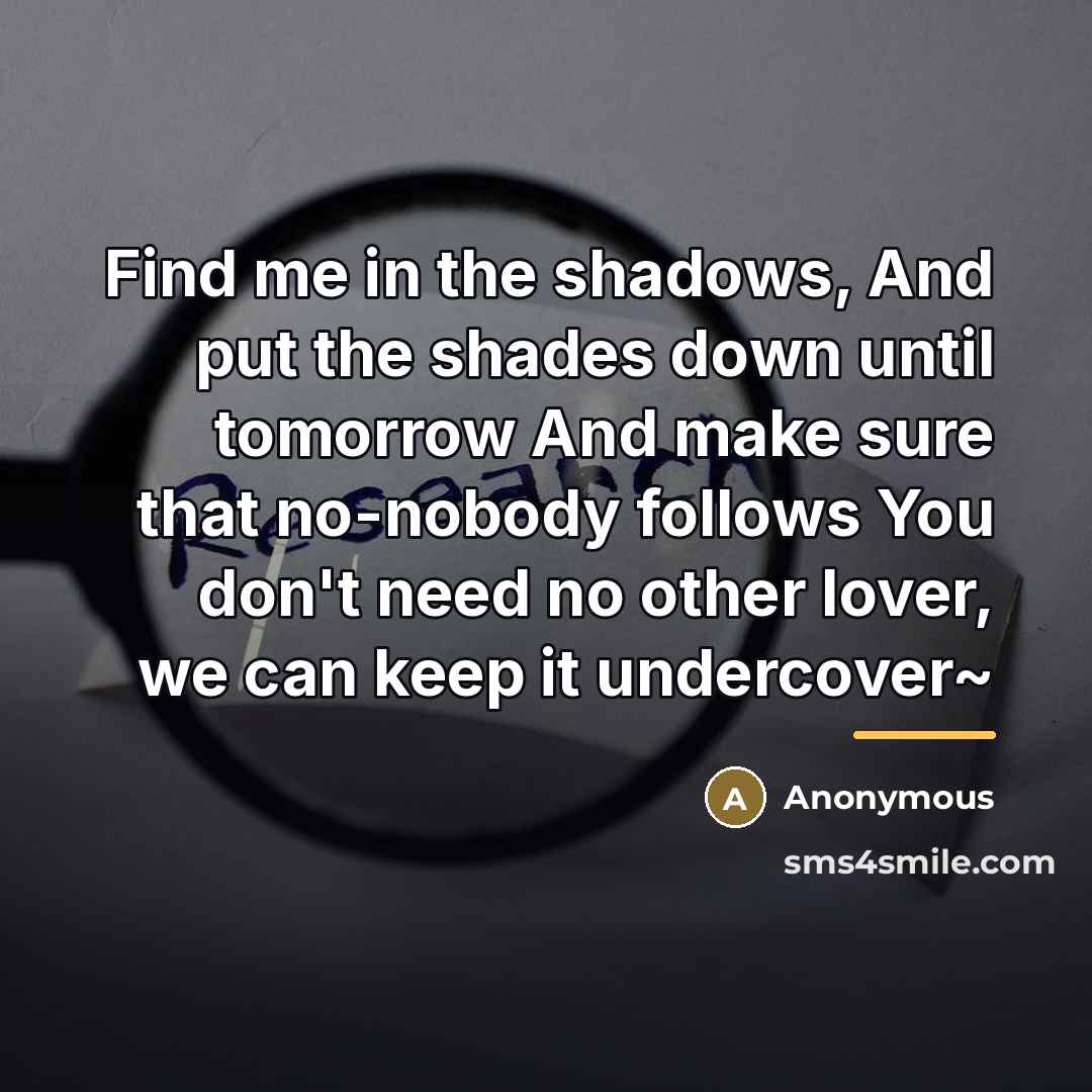 “Find me in the shadows, And put the shades down…” quote by Anonymous