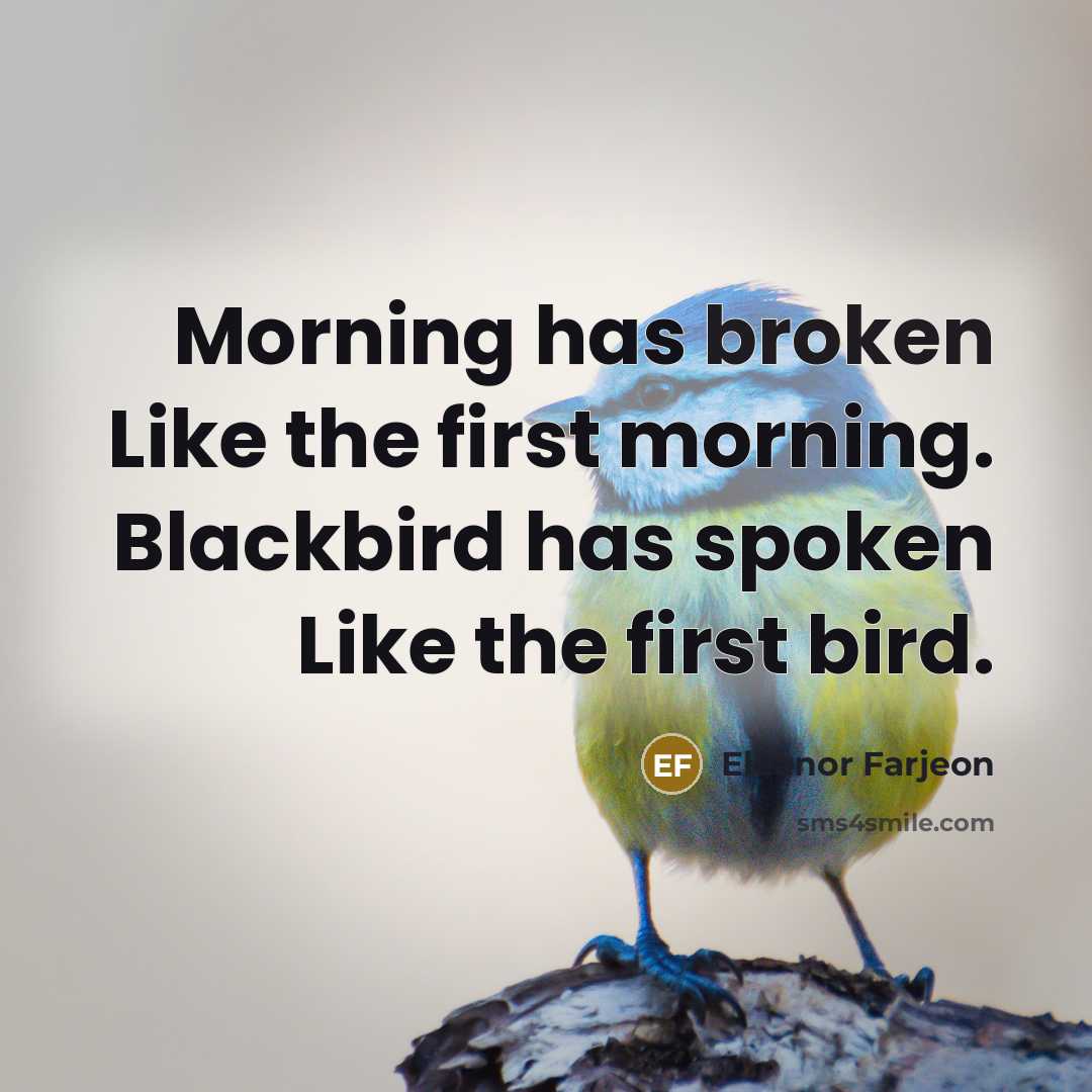 “Morning has broken Like the first morning. Blackbird has spoken…” quote by Eleanor Farjeon