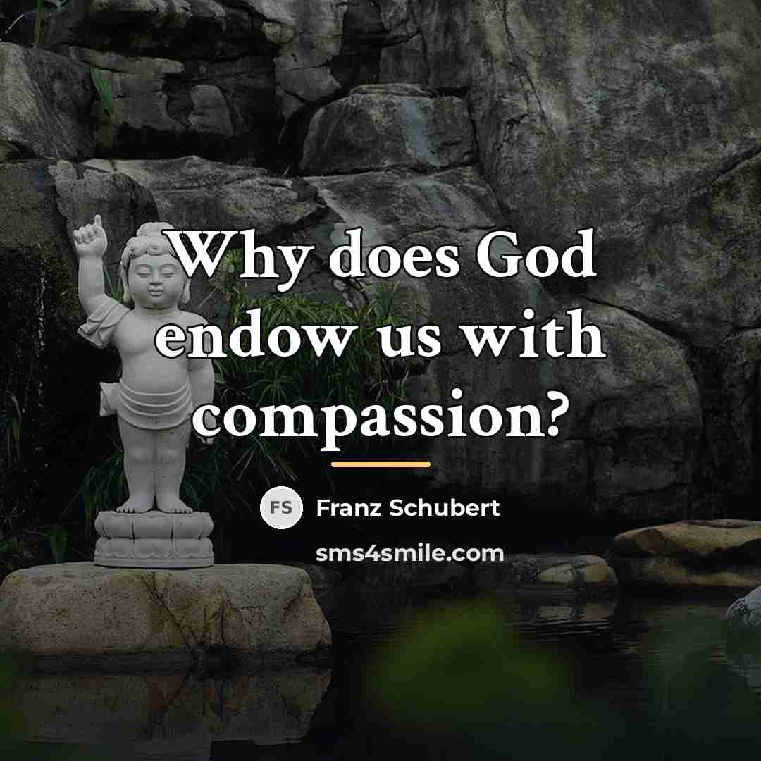 “Why does God endow us with compassion?…” quote by Franz Schubert