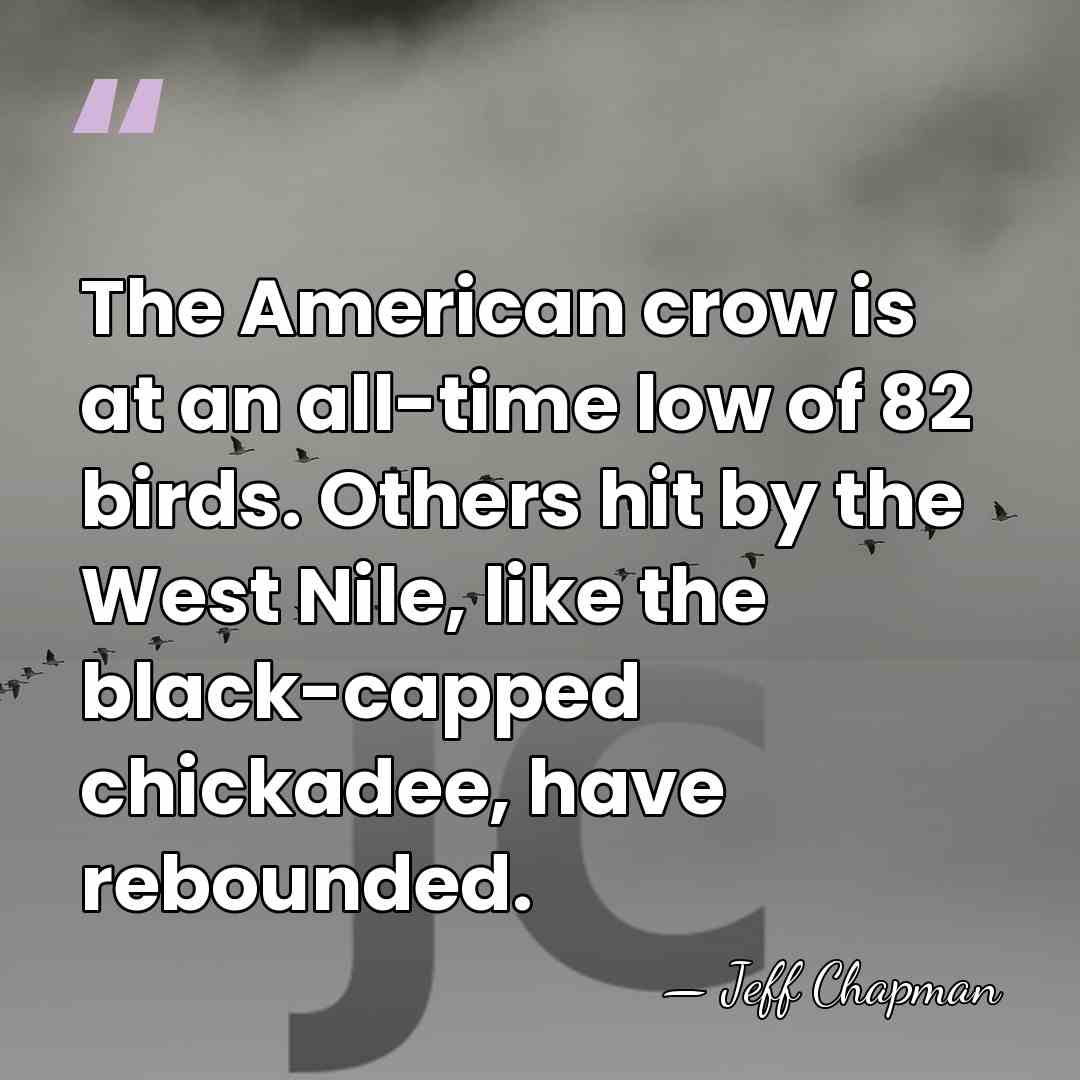 The American crow is at an all-time low of 82 birds. Others&hellip; - Jeff Chapman