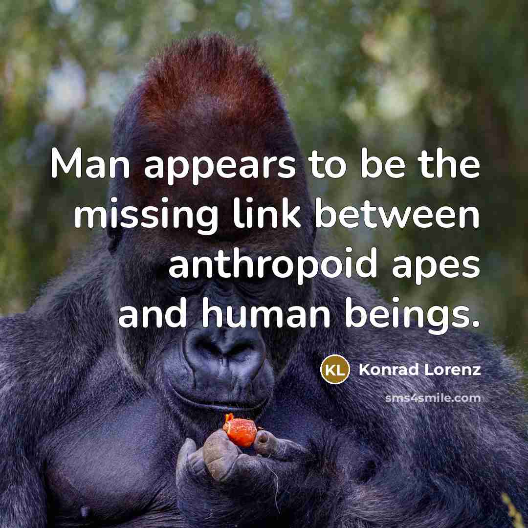 “Man appears to be the missing link between anthropoid apes…” quote by Konrad Lorenz