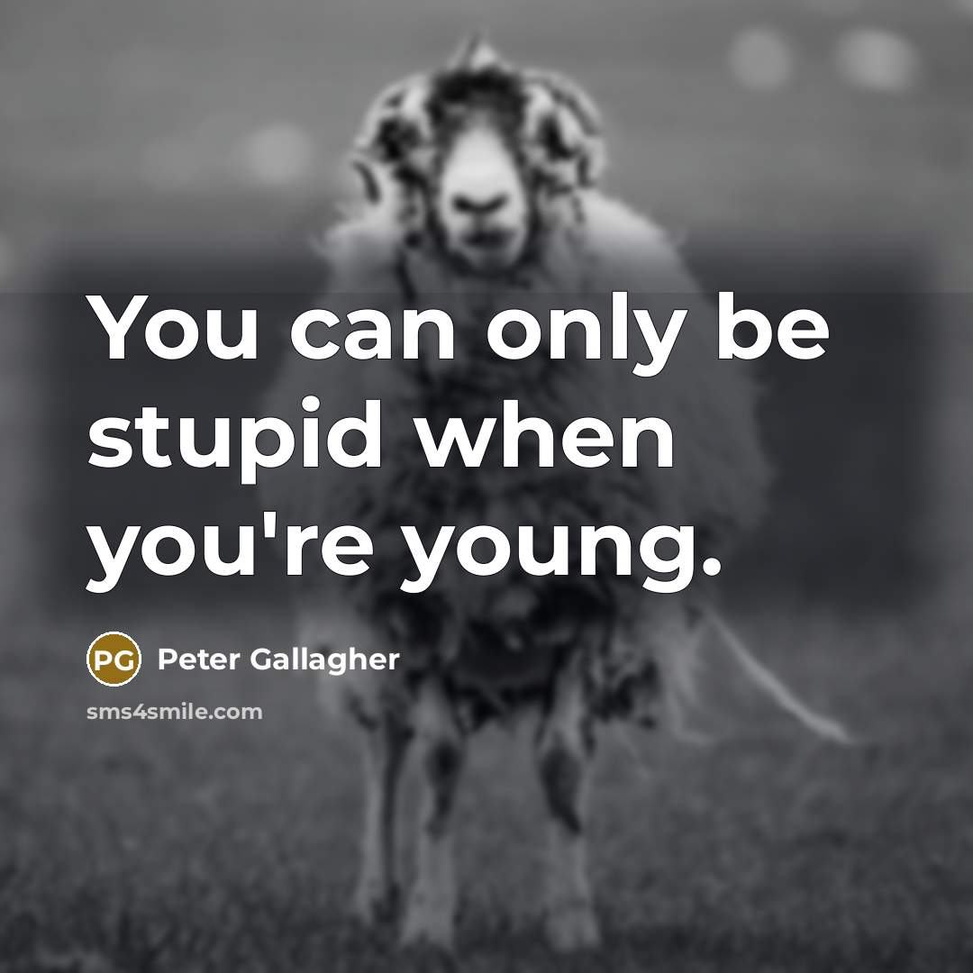 “You can only be stupid when you're young.…” quote by Peter Gallagher