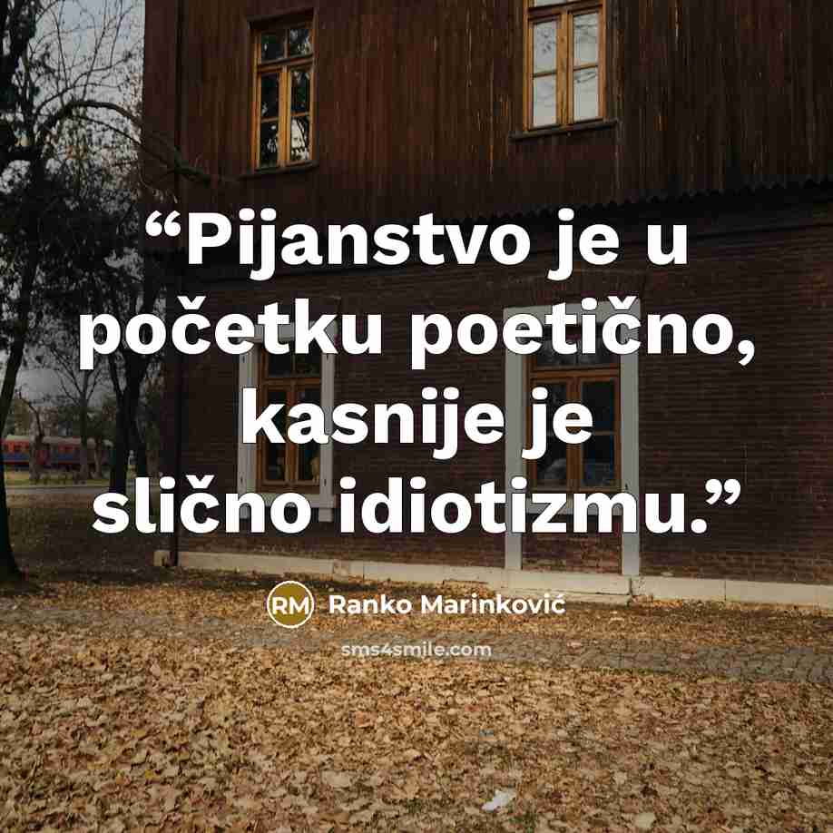 “Pijanstvo je u početku poetično, kasnije je slično idiotizmu.” quote by Ranko Marinković