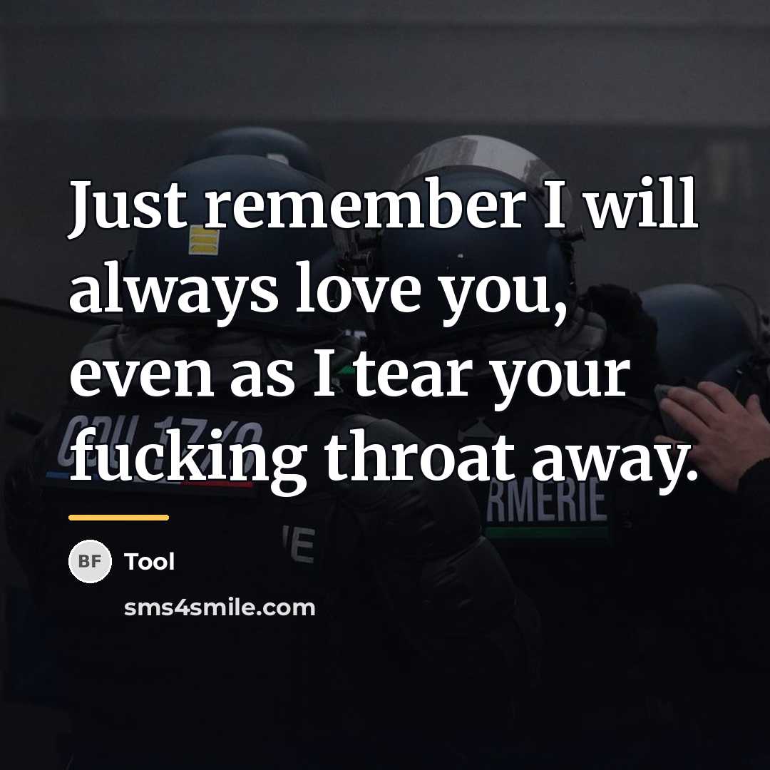 “Just remember I will always love you, even as I…” quote by Tool
