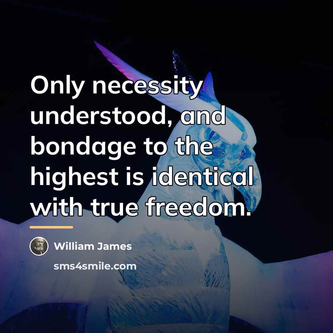 “Only necessity understood, and bondage to the highest is identical…” quote by William James