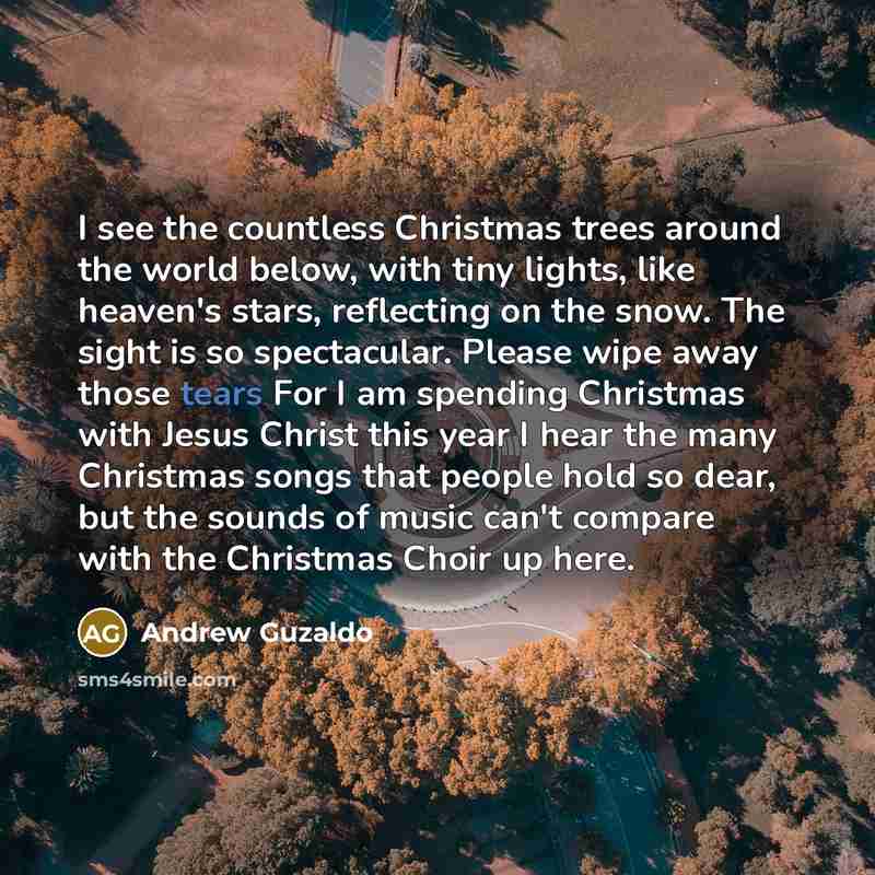 “I see the countless Christmas trees around the world below,…” quote by Andrew Guzaldo