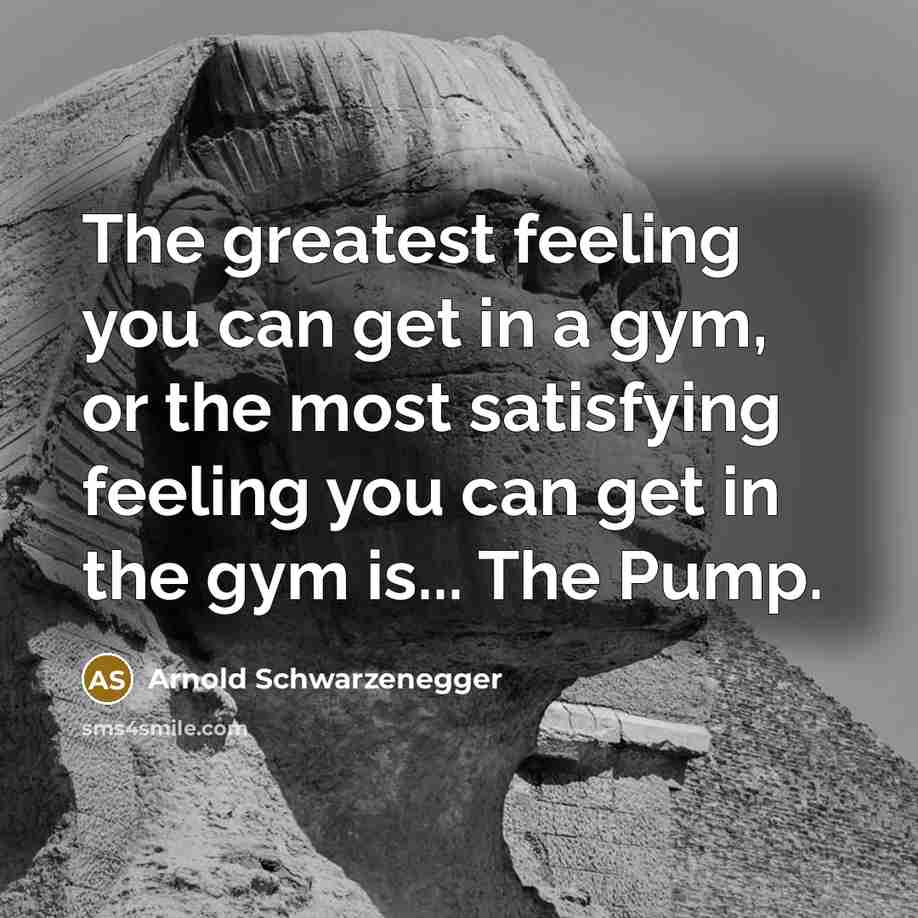 “The greatest feeling you can get in a gym, or…” quote by Arnold Schwarzenegger