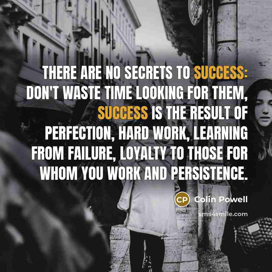 “There are no secrets to success: don't waste time looking…” quote by Colin Powell