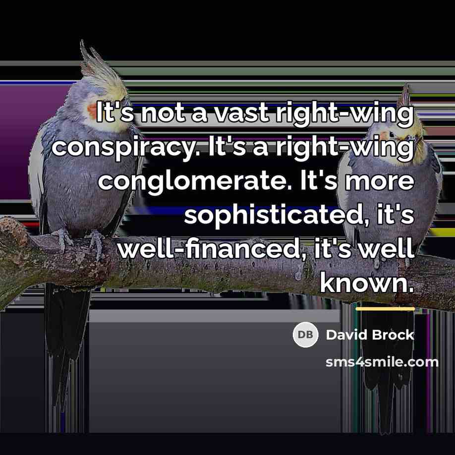 “It's not a vast right-wing conspiracy. It's a right-wing conglomerate.…” quote by David Brock