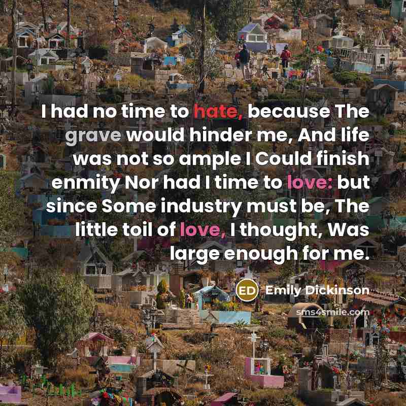 “I had no time to hate, because The grave would…” quote by Emily Dickinson