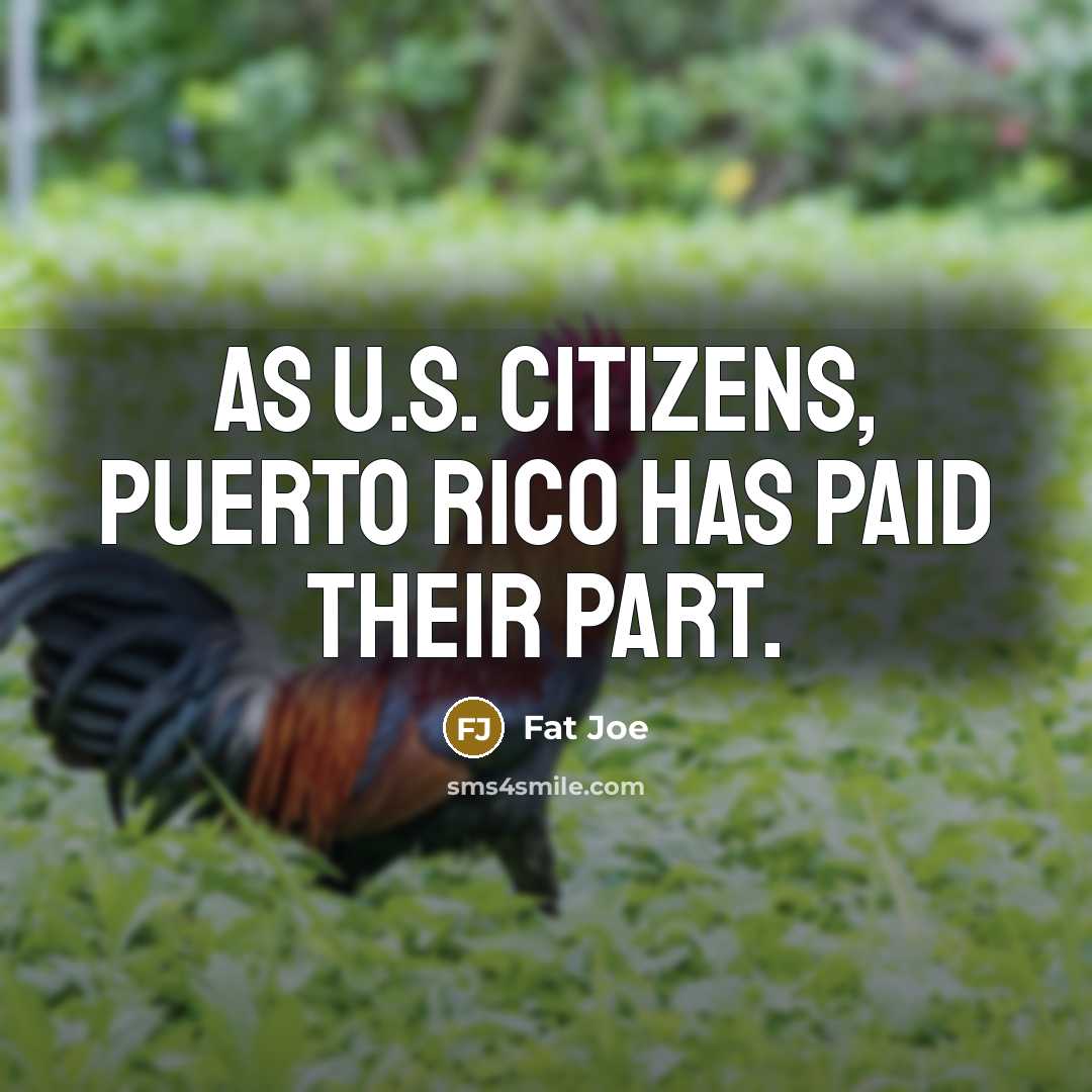 “As U.S. citizens, Puerto Rico has paid their part.” quote by Fat Joe